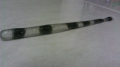 6" Holographic Spotted Worm